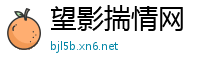 望影揣情网